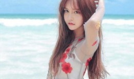 娱乐吃瓜酱韩安冉,娱乐吃瓜酱的璀璨星途